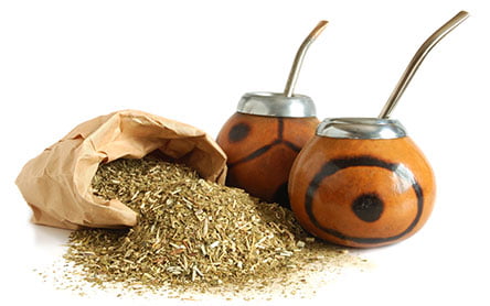 yerba-mate